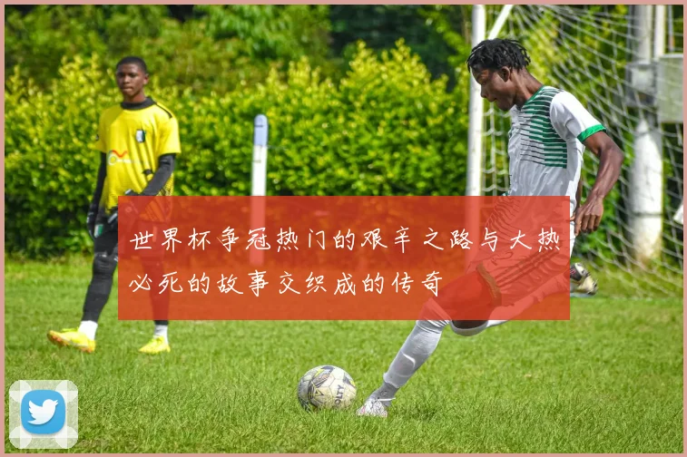 世界杯争冠热门的艰辛之路与大热必死的故事交织成的传奇