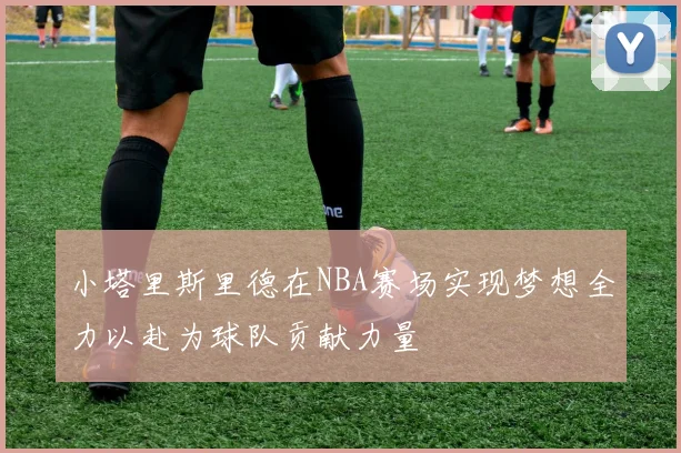 小塔里斯里德在NBA赛场实现梦想全力以赴为球队贡献力量
